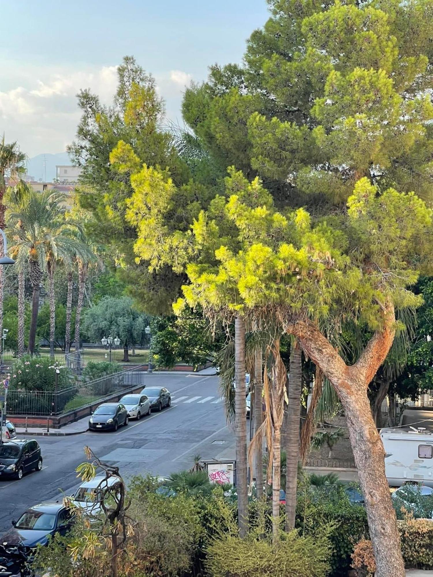 Maison Ruggero Catania-Fontanarossai nemzetközi repülőtér Kültér fotó