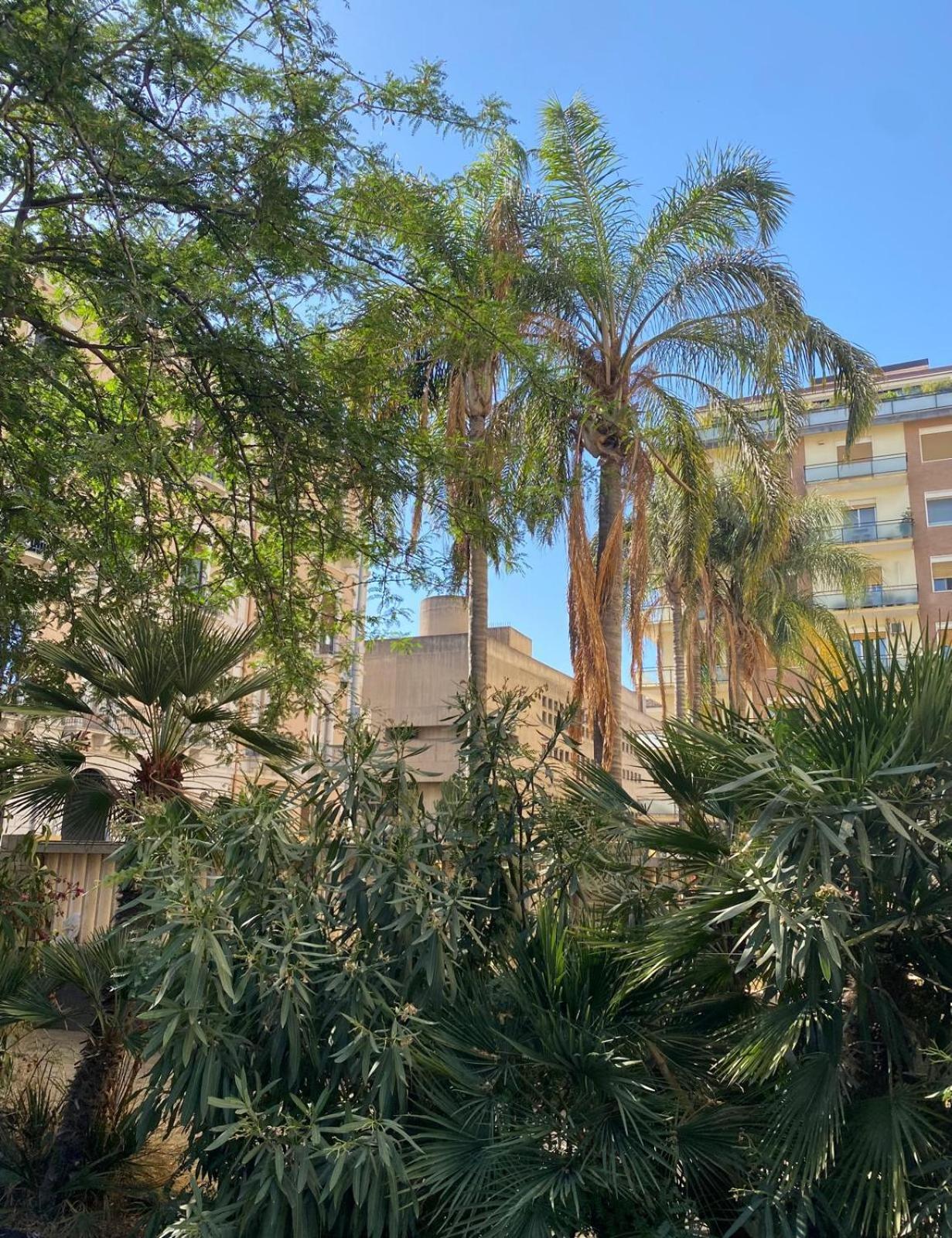 Maison Ruggero Catania-Fontanarossai nemzetközi repülőtér Kültér fotó